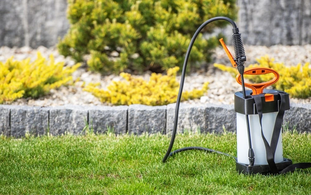 Lawn fertilizer spray equipment sitting on grass.