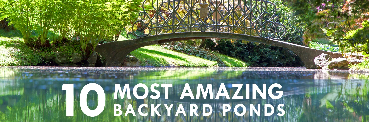 Pond and bridge with text reading 10 most amazing backyard ponds.