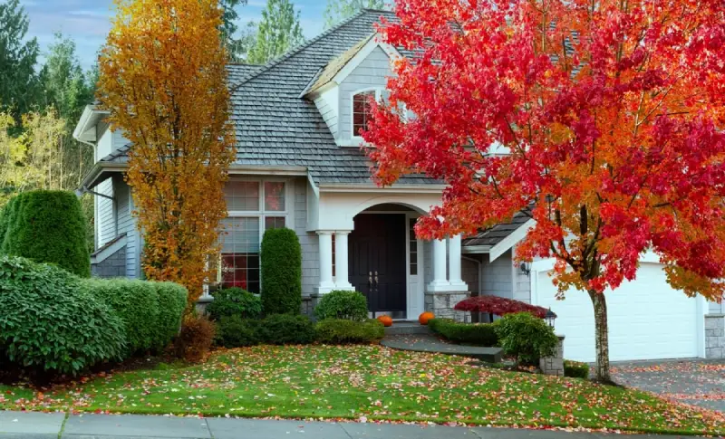 Colorful trees in a front yard during the fall.