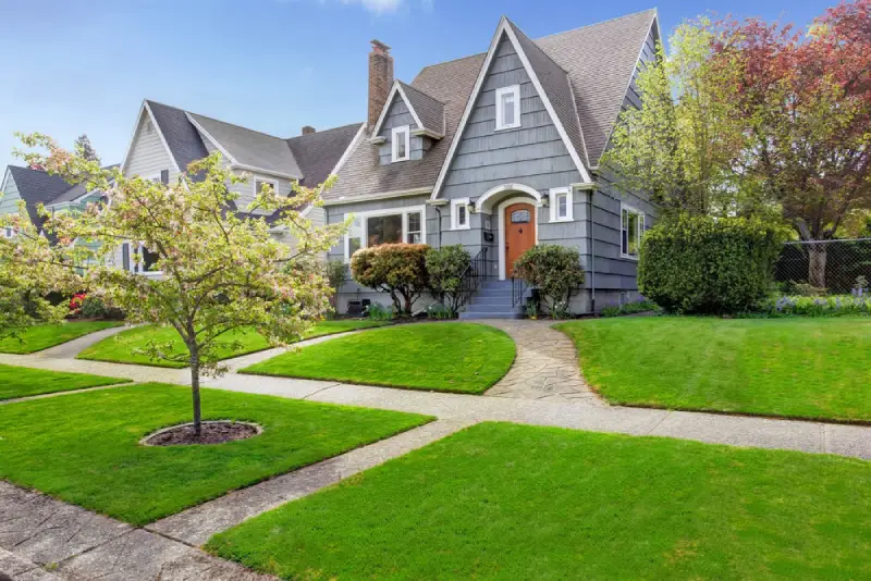 Small and medium sized trees in a residential front yard.