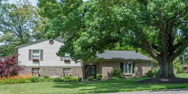 Oak tree planted in front yard
