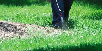 Person spraying grass with pesticide.